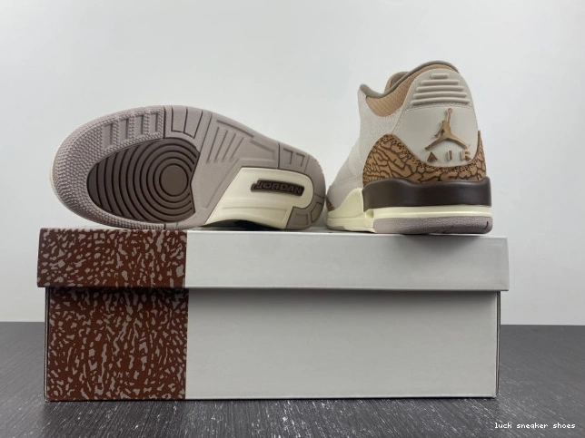Reps LUCY Palomino 3 Air CT8532-102 Jordan 0816